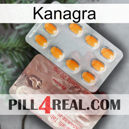 Kanagra new13